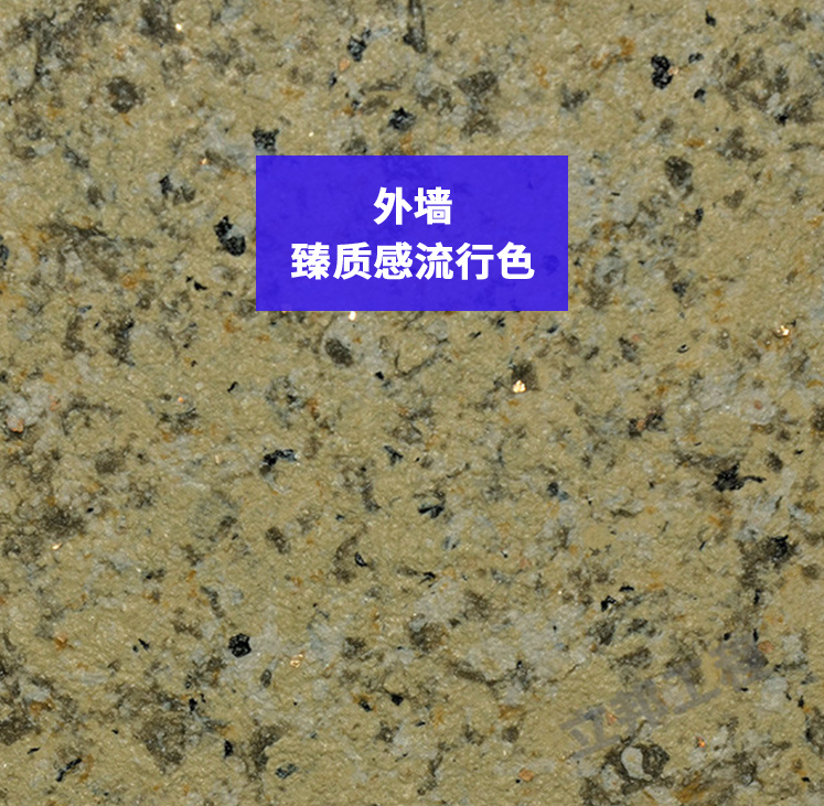 外墙-臻质感流行色